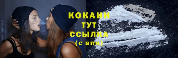 хмурый Абаза