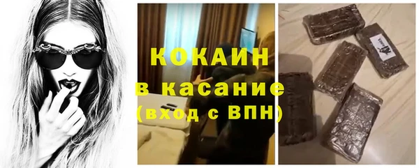 хмурый Абаза
