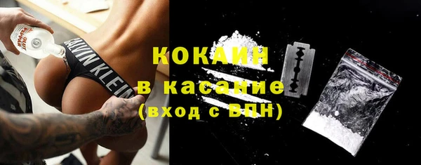 хмурый Абаза