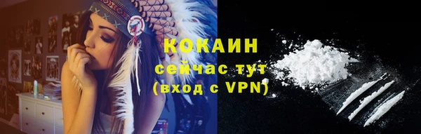 хмурый Абаза