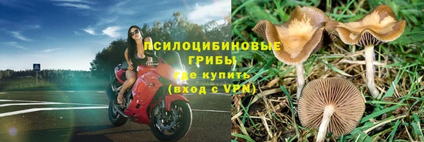 хмурый Абаза
