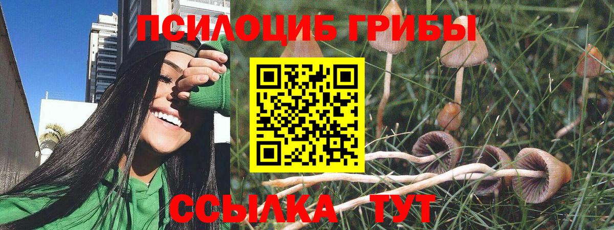 Псилоцибиновые грибы Cubensis  Вход с VPN  Кизилюрт 